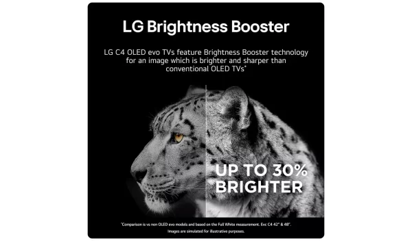 LG OLED evo AI C4 42 (106 cm) 4K Smart TV 2024 - Image 4