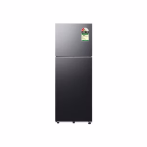 Samsung 330 L Double Door Refrigerator with Bespoke AI, 2★ RT34HG5A42BX