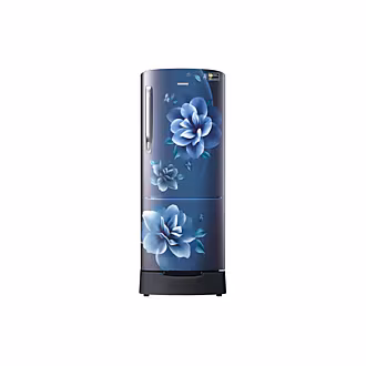 Samsung 183 L One Door Refrigerator with Digital Inverter Technology RR20D2825CU