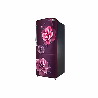 Samsung 223 L One Door Refrigerator RR24C2723CR