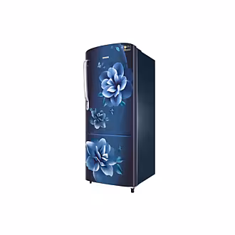 Samsung 223 L One Door Refrigerator RR24C2723CU